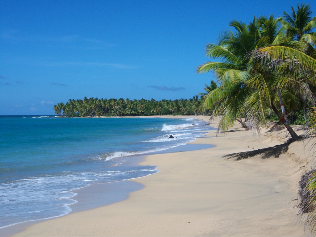 Oportunidades de negocio en República Dominicana