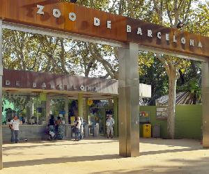 http://meet.barcelona.cat/sites/default/files/styles/punts_interes_galeria/public/zoo-de-barcelona.jpg?itok=h9FpKZFH