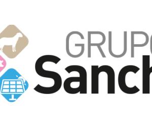 http://gruposanchiz.es/wp-content/uploads/2014/03/LOGO-GRUPO-SANCHIZ-REG-500x164.png