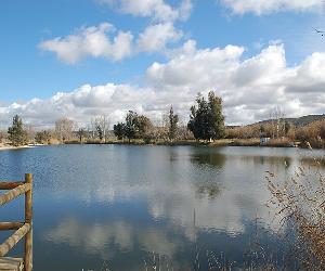 http://upload.wikimedia.org/wikipedia/commons/thumb/5/56/Parque_de_Enrique_Tierno_Galvan_Madrid.jpg/800px-Parque_de_Enrique_Tierno_Galvan_Madrid.jpg