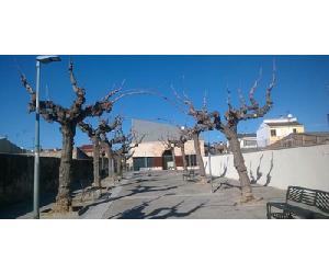 http://www.olerdola.cat/ajuntament/participacio-ciutadana-en-edicio/processos-de-participacio-ciutadana/processos-participatius-realitzats/enquesta-dopinio-sobre-la-reurbanitzacio-de-la-rambla-pau-casals-de-moja/descripcio-i-abast-del-projecte-de-reurbanitzacio/@@images/50c6266f-2168-4368-bd51-c3ff40eab358.png