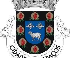 https://upload.wikimedia.org/wikipedia/commons/2/28/Bras%C3%A3o_de_Valpa%C3%A7os.png