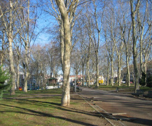 https://upload.wikimedia.org/wikipedia/commons/3/31/Praca_da_Corujeira_Porto.jpg
