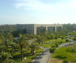 https://upload.wikimedia.org/wikipedia/commons/3/3e/Campus_Universidad_Miguel_Hern%C3%A1ndez_Elche.JPG