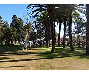 https://upload.wikimedia.org/wikipedia/commons/thumb/4/47/ParqueHontoriaJerez-DSC02257.JPG/200px-ParqueHontoriaJerez-DSC02257.JPG