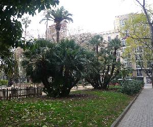 https://upload.wikimedia.org/wikipedia/commons/thumb/6/60/Margallons_de_la_pla%C3%A7a_Letamendi_P1470849.JPG/800px-Margallons_de_la_pla%C3%A7a_Letamendi_P1470849.JPG