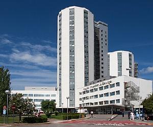 https://upload.wikimedia.org/wikipedia/commons/thumb/8/88/Hospital-de-Bellvitge.jpg/450px-Hospital-de-Bellvitge.jpg