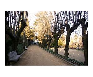 https://upload.wikimedia.org/wikipedia/commons/thumb/1/10/Jardins_Can_Cendra_Angl%C3%A8s_La_Selva_Catalunya.jpg/266px-Jardins_Can_Cendra_Angl%C3%A8s_La_Selva_Catalunya.jpg