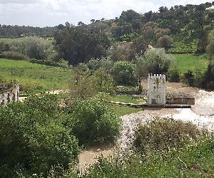 https://upload.wikimedia.org/wikipedia/commons/thumb/2/20/Vista_de_Alcal%C3%A1_de_Guada%C3%ADra.JPG/1024px-Vista_de_Alcal%C3%A1_de_Guada%C3%ADra.JPG