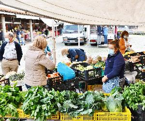 https://www.cm-gondomar.pt/wp-content/uploads/2021/04/DSC_4538-scaled.jpg