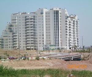 Imagen de obra