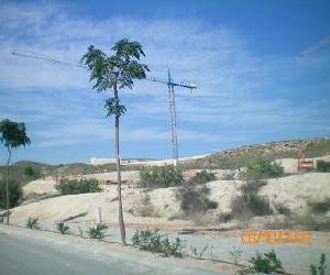 Project picture