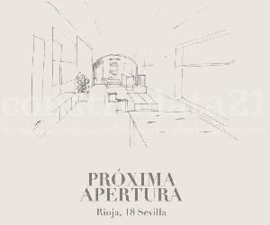 Imagen de obra