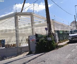 Imagen de obra