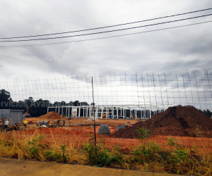 Imagen de obra
