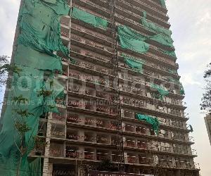 Imagen de obra