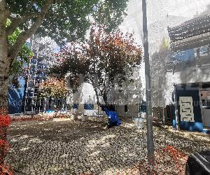 Imagen de obra