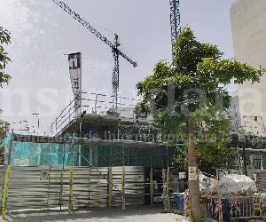 Imagen de obra