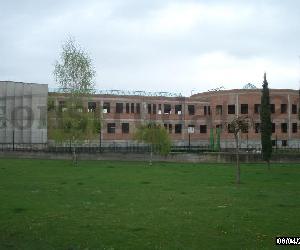 Imagen de obra