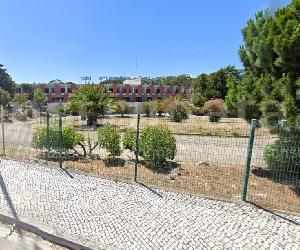 Imagen de obra