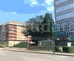 Imagen de obra