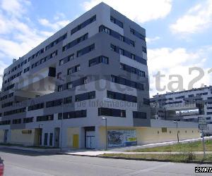 Imagen de obra