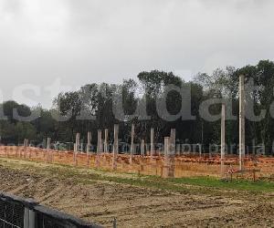Imagem da obra