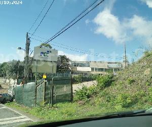 Imagen de obra