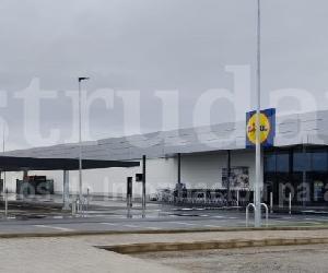 Imagen de obra