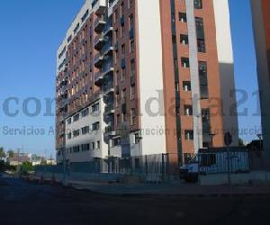 Imagem da obra
