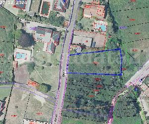Imagen de obra