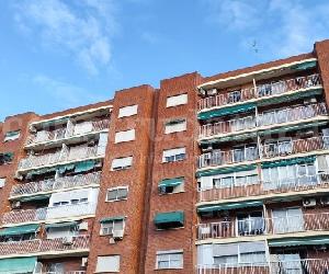 Imagen de obra