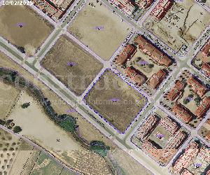 Imagen de obra