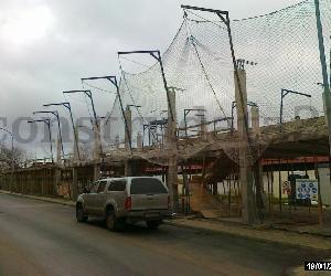 Imagen de obra