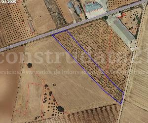 Imagen de obra
