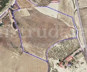 Imagen de obra