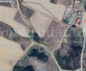 Imagem da obra