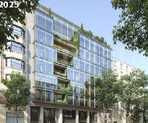 Imagen de obra