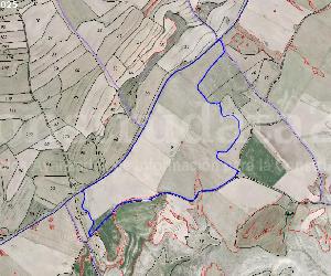 Imagen de obra