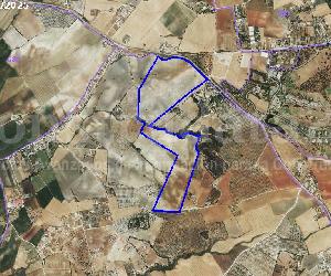 Imagen de obra