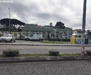 Imagem da obra