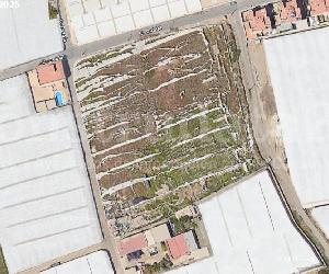 Imagen de obra