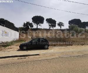 Imagen de obra
