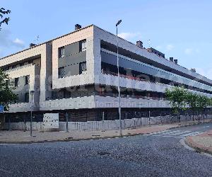 Imagen de obra