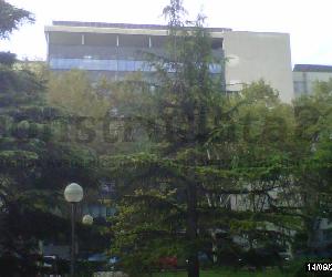 Imagen de obra