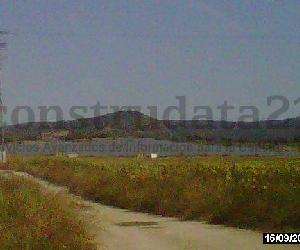 Imagen de obra
