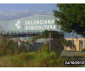 Imagem da obra