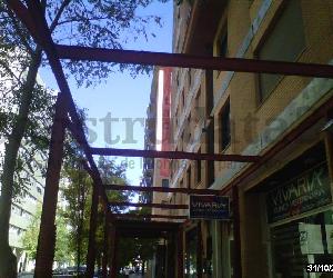 Imagen de obra