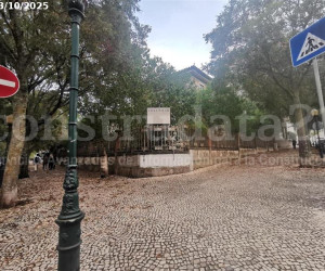Imagen de obra