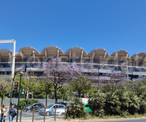 Imagen de obra